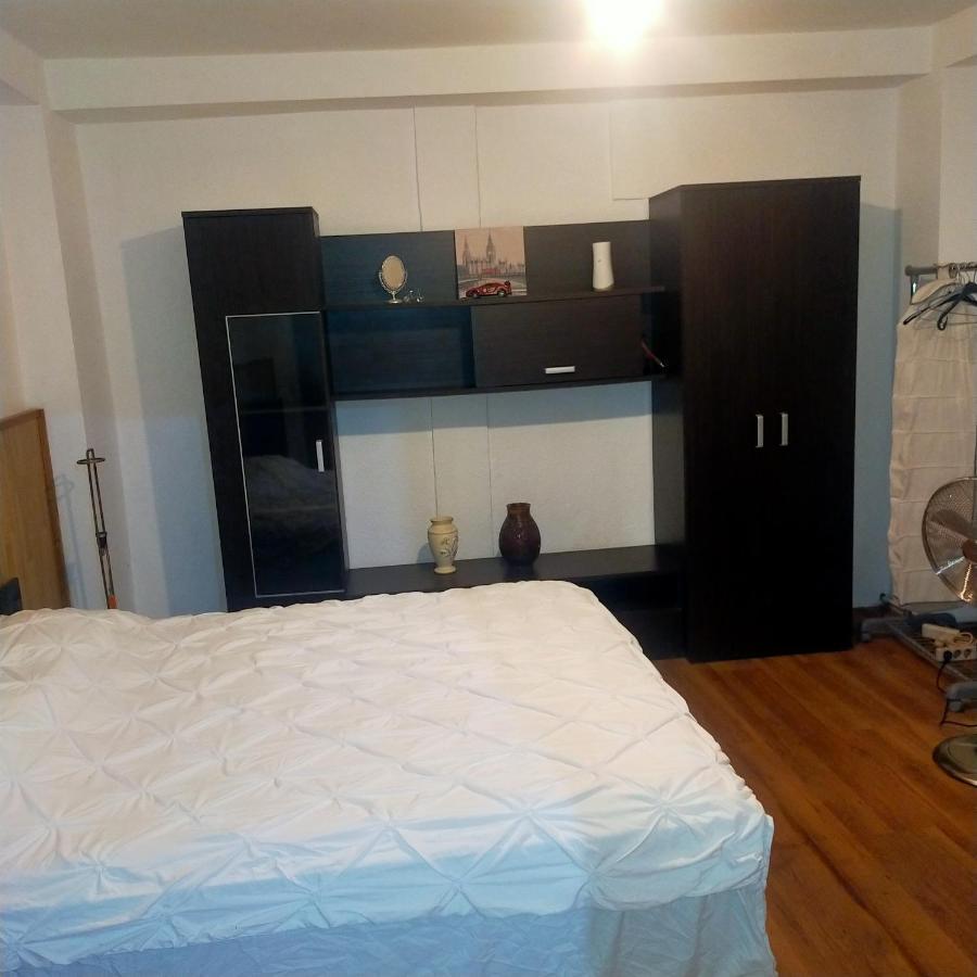 Vila Elena Ap 1 Bükreş Dış mekan fotoğraf